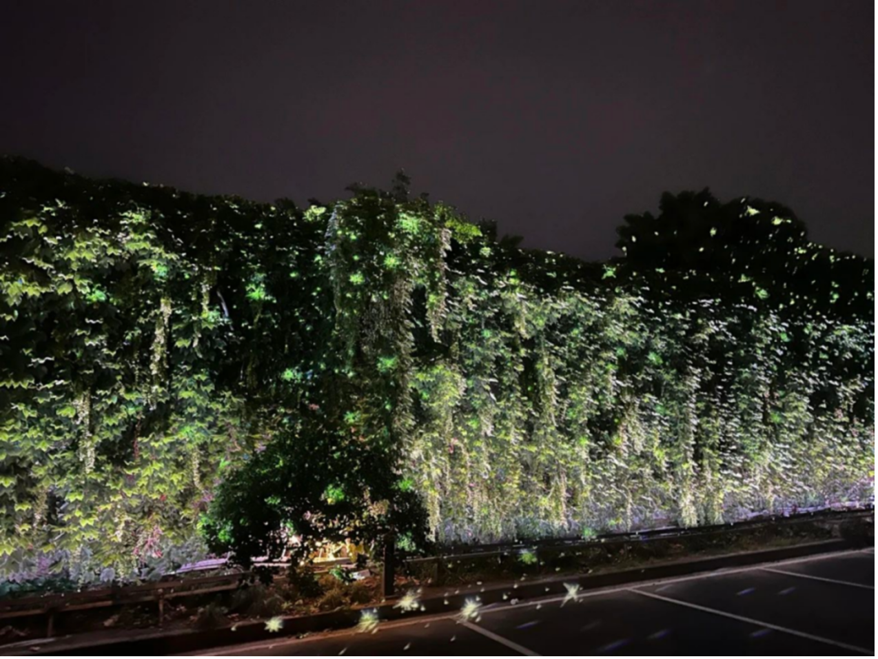 65a8807a33d4d.png 65a8807a33d4d.png